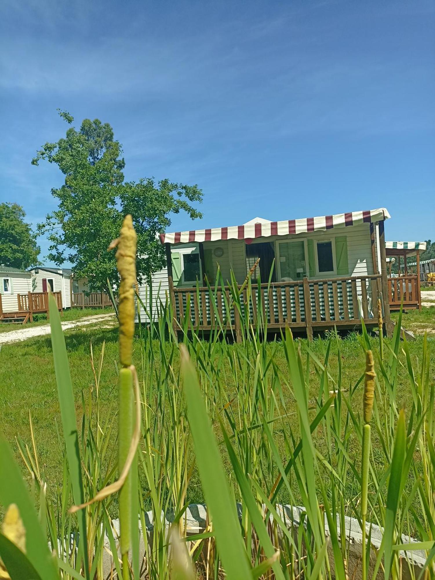 Tinyhouse Tilda - Near Famous Beaches Патаяш Экстерьер фото